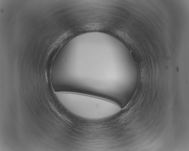 X0000070190254200605261012