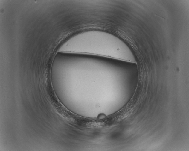 X0000070190255200605261012