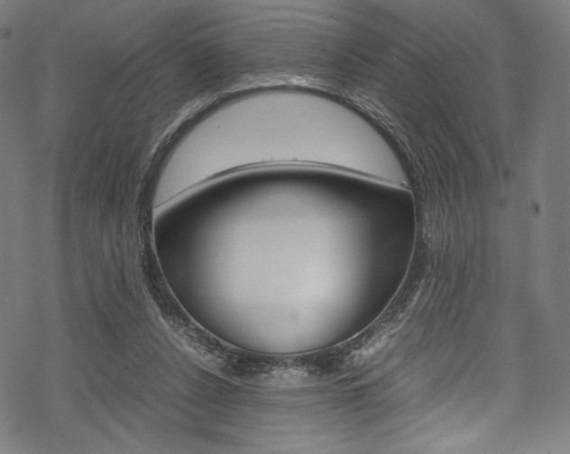 X0000070190256200605261012