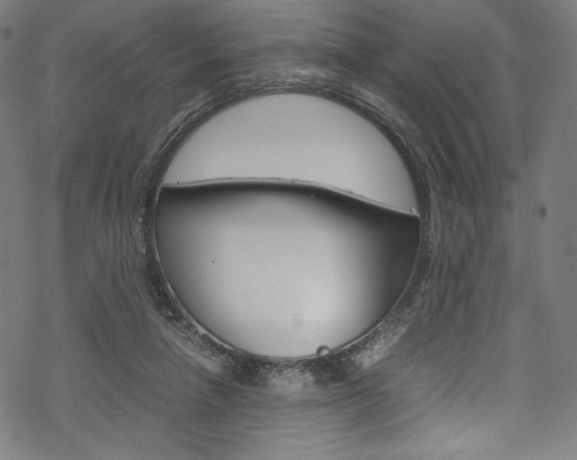 X0000070190258200605261012