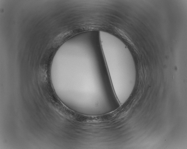 X0000070190259200605261012