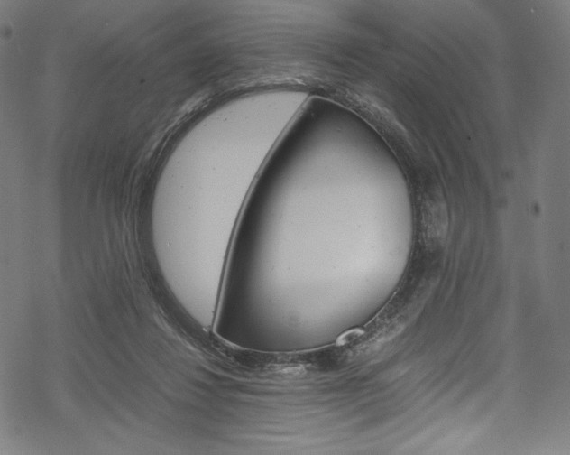 X0000070190260200605261012