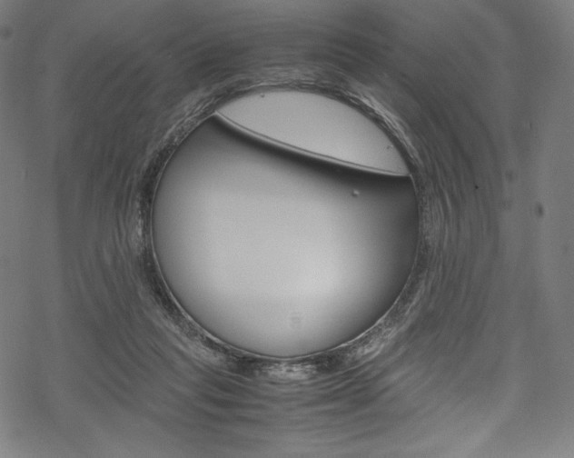 X0000070190261200605261012