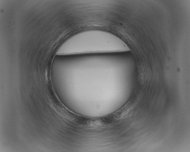 X0000070190262200605261012