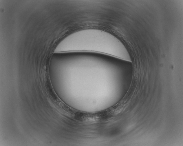 X0000070190263200605261012