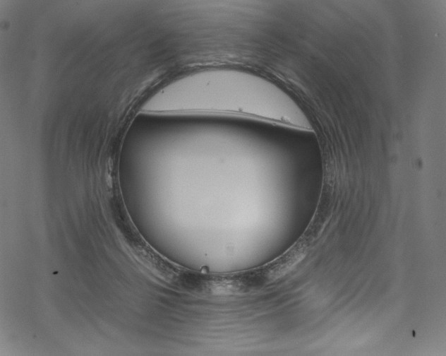 X0000070190264200605261012