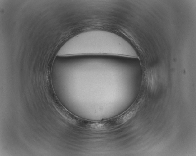 X0000070190265200605261012