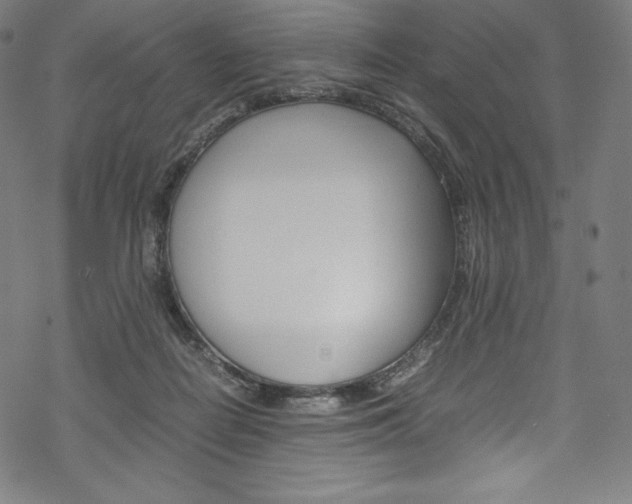 X0000070190266200605261012