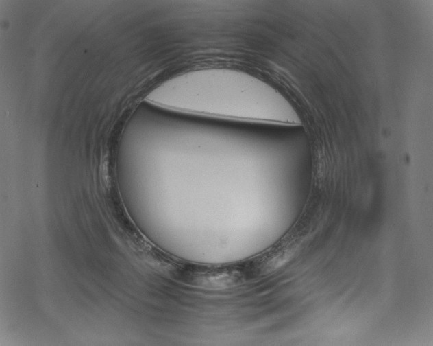 X0000070190267200605261012