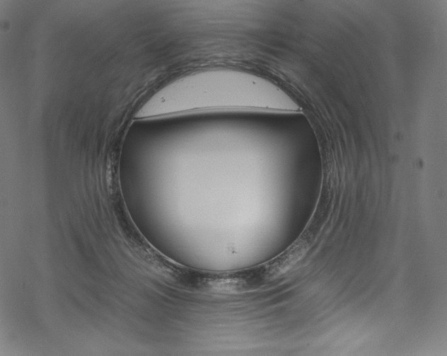 X0000070190268200605261012