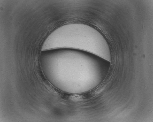 X0000070190269200605261012