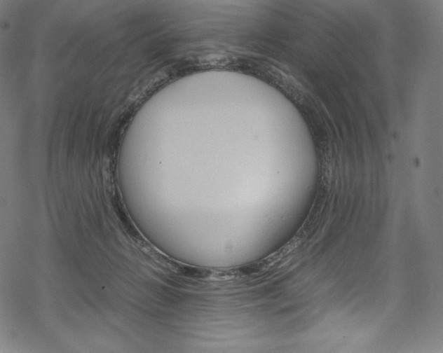 X0000070190270200605261012