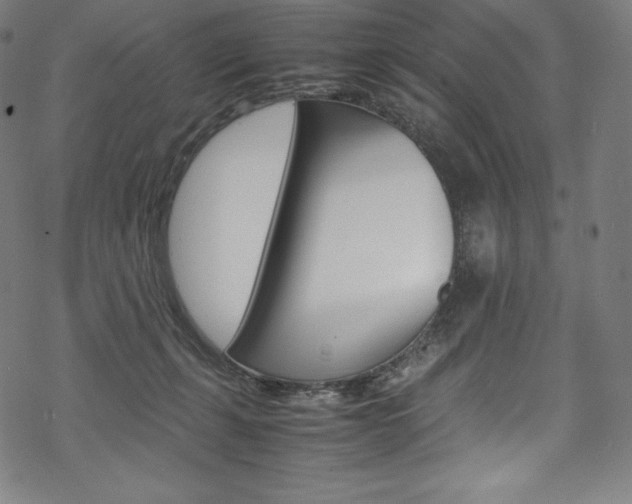 X0000070190271200605261012