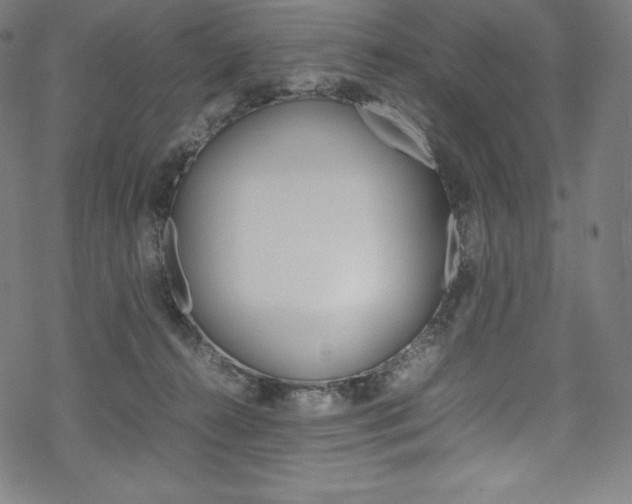 X0000070190272200605261012