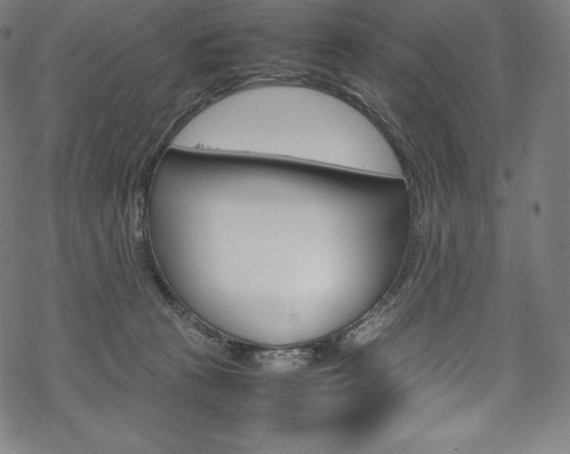 X0000070190273200605261012