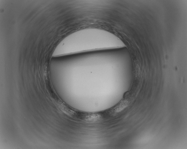 X0000070190274200605261012