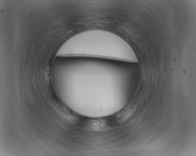 X0000070190275200605261012