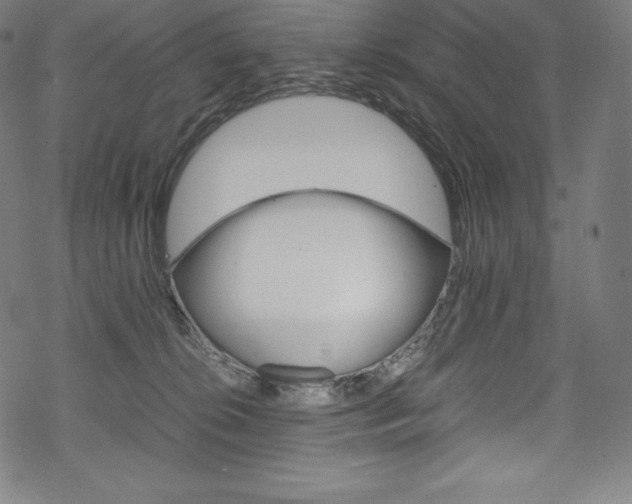 X0000070190276200605261012