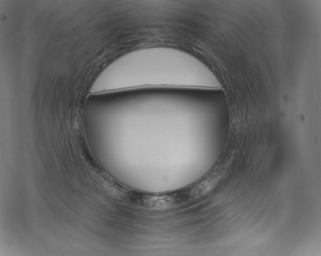 X0000070190277200605261012