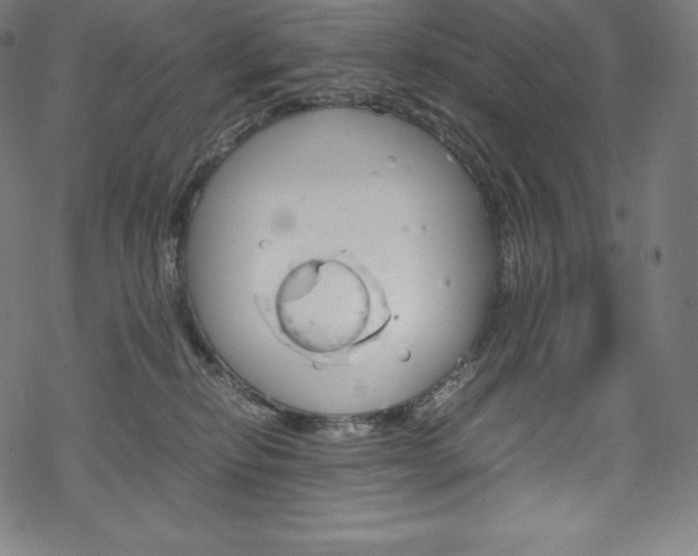 X0000070190278200605261012