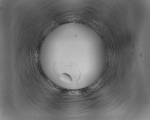 X0000070190279200605261012