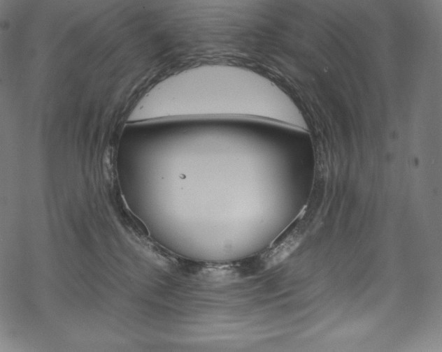 X0000070190280200605261012