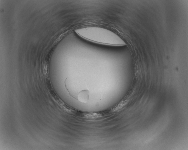 X0000070190281200605261012