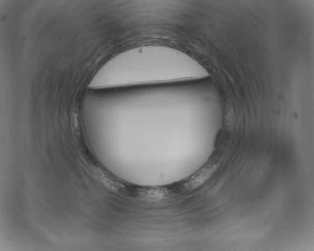 X0000070190282200605261012