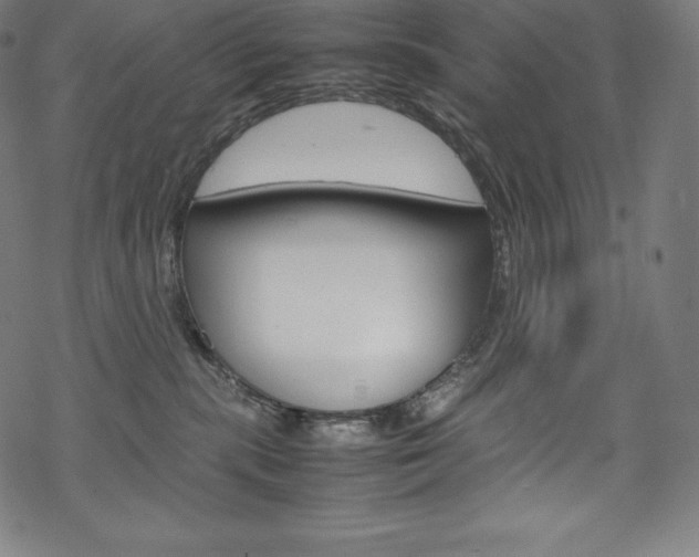 X0000070190283200605261012