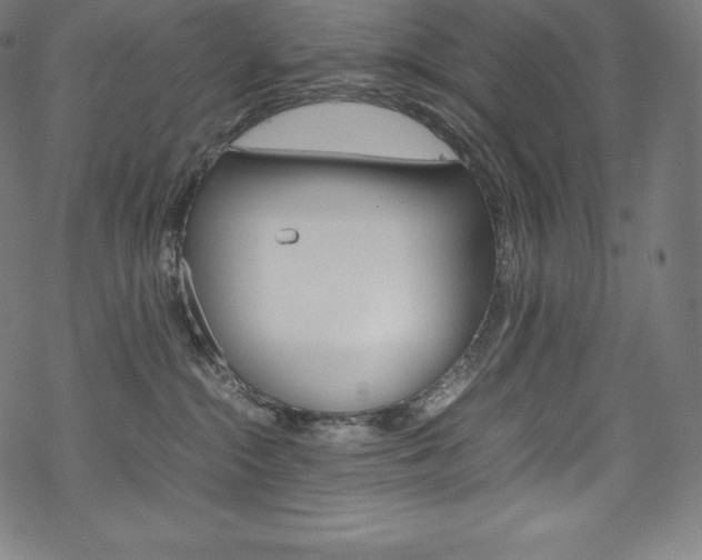 X0000070190284200605261012