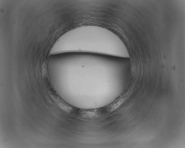 X0000070190285200605261012