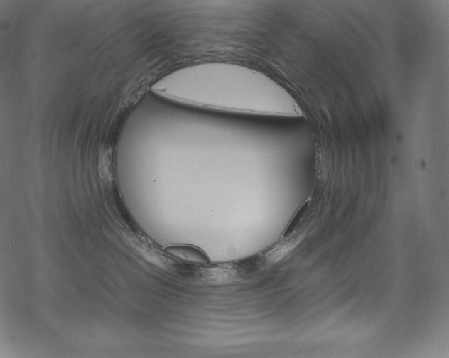 X0000070190286200605261012