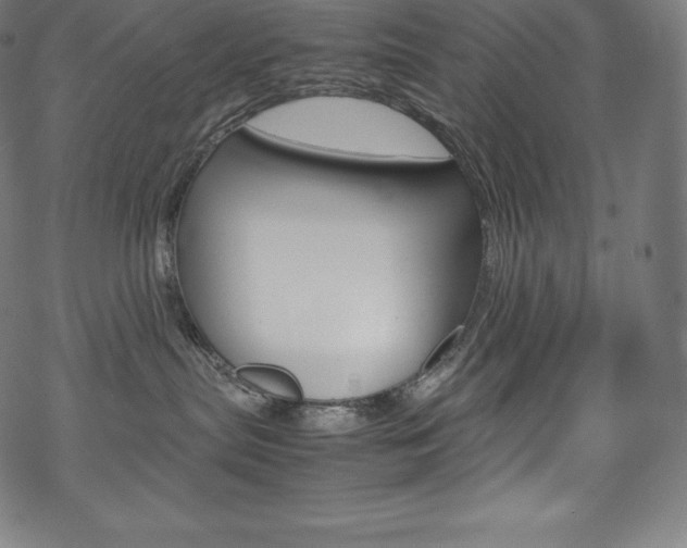 X0000070190287200605261012