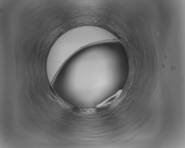 X0000070190288200605261012