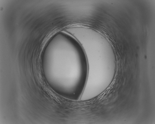 X0000070190289200605261012