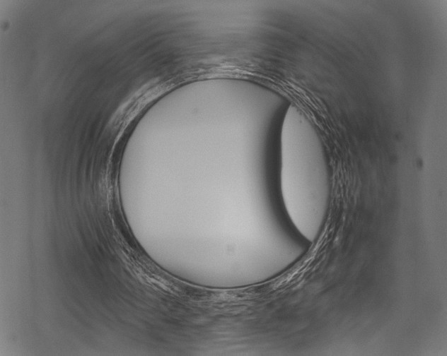 X0000070190290200605261012