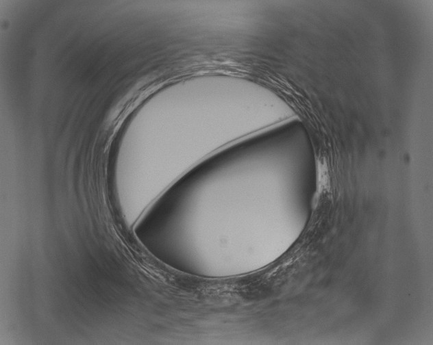 X0000070190291200605261012