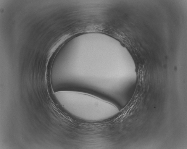 X0000070190292200605261011