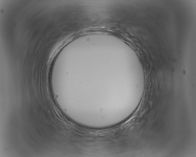 X0000070190293200605261011