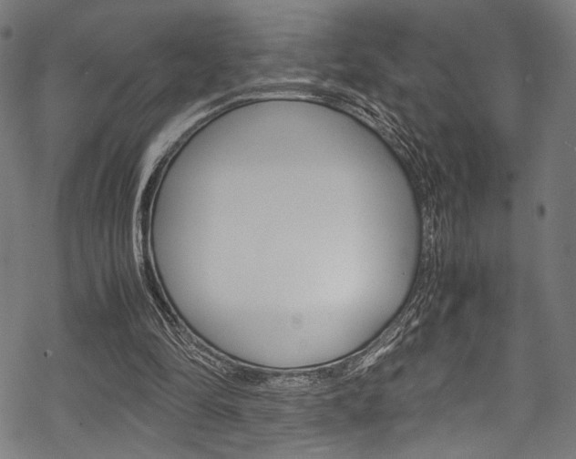 X0000070190294200605261011