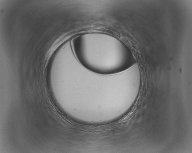 X0000070190295200605261011