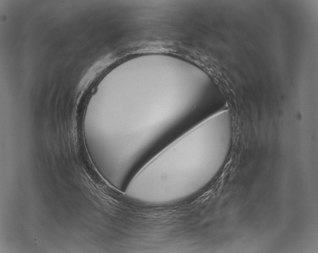 X0000070190296200605261011