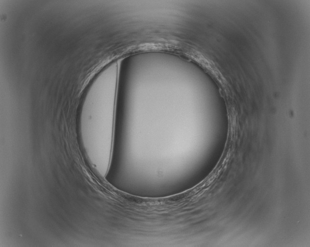 X0000070190297200605261011