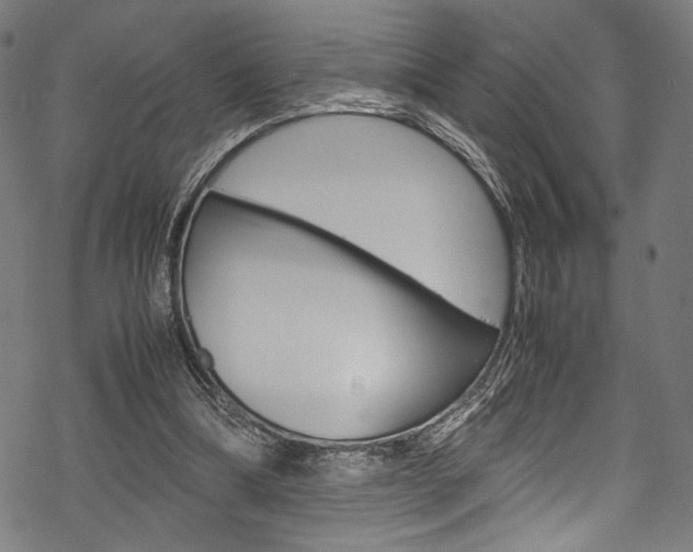 X0000070190298200605261011