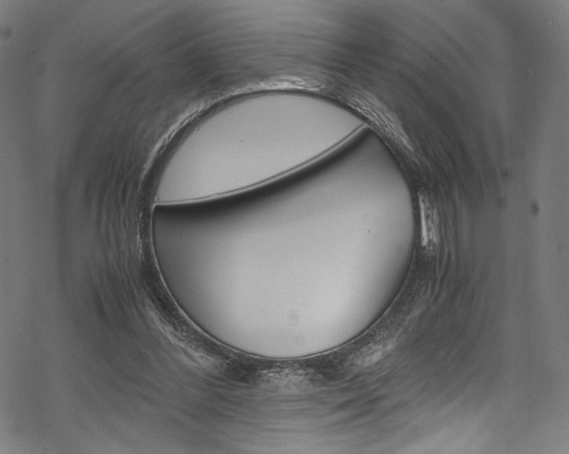 X0000070190300200605261011