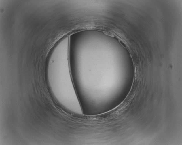 X0000070190301200605261011