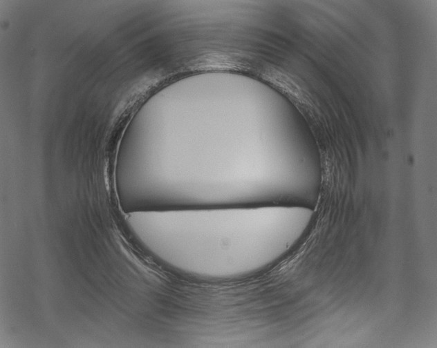 X0000070190302200605261011