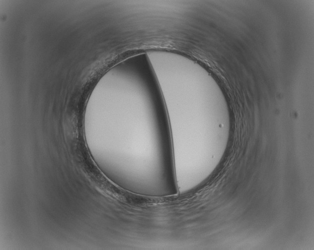 X0000070190303200605261011