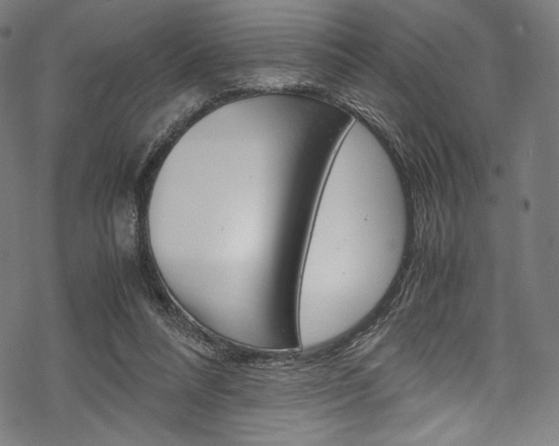 X0000070190304200605261011