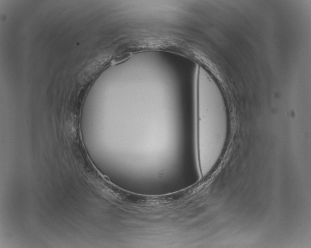 X0000070190305200605261011